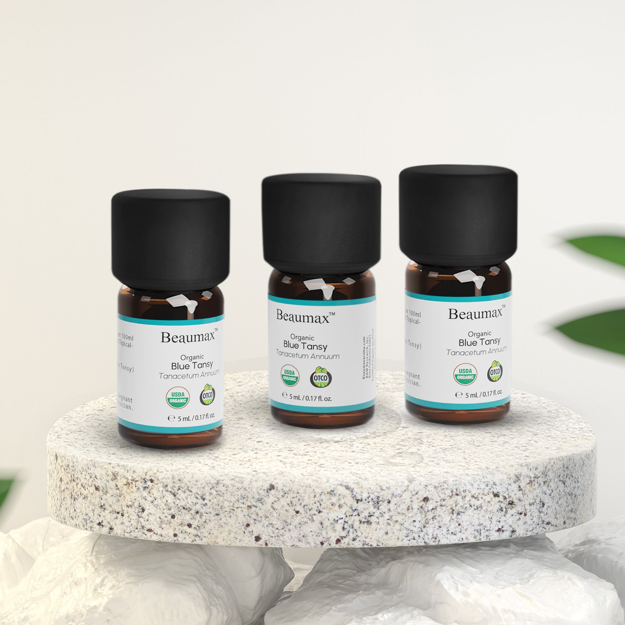 ब्लू टैन्सी ऑर्गेनिक एसेंशियल ऑयल (टैनासेटम एनुअम लिनिअस) 5 मि.ली