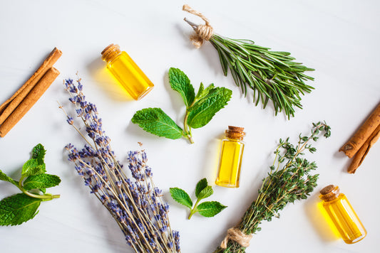 Aromatherapy for Common Health Conditions
