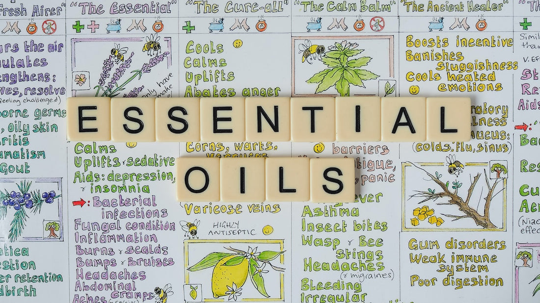 The Essential Guide to Essential Oils: Discovering the Best Oils for Your Needs