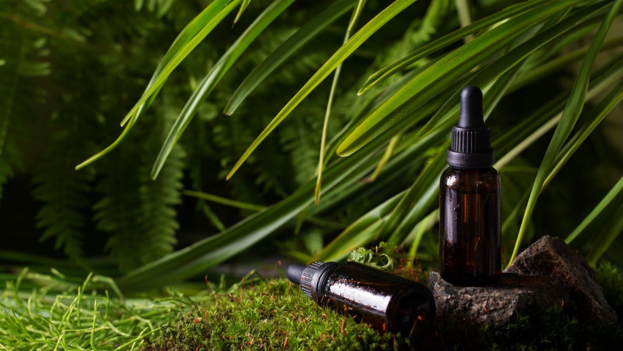 🌲 Grounding & Nature-Inspired Collection